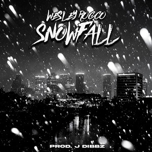 Snowfall