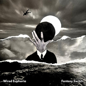 Fantasy Switch by Wired Euphoria