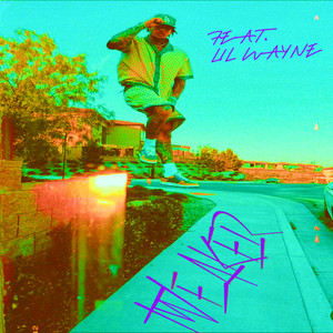 Tweaker (Remix) album cover