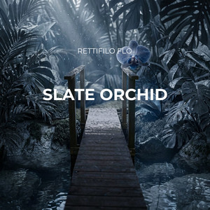 Slate Orchid by Rettifilo Flo