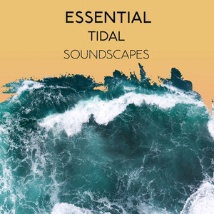 zZz Essential Tidal Soundscapes zZz album