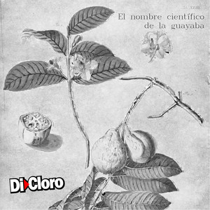 Dicloro - Over