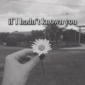 If I Hadn't Known You by IM CHANTI