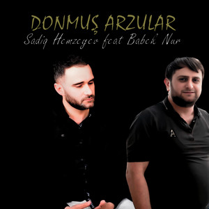 Sadiq Hemzeyev - Donmuş Arzular (feat. Babek Nur)