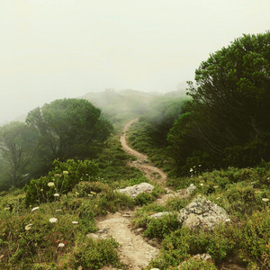 Tranquil trails