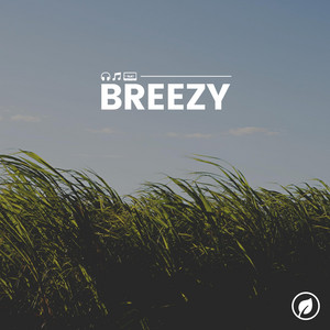 Breezy album