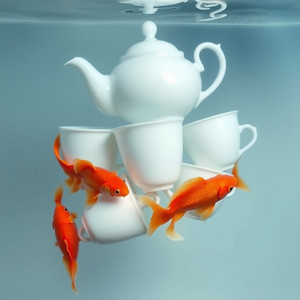 No Fool by Iris Wave
