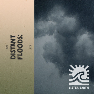 zZz Distant Floods: Looming Clouds Over the Woods zZz album
