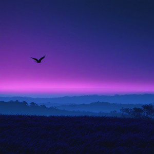 Don't Fly Away