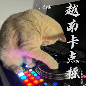 DJ-大鹏 - 越南卡点摇 (节奏带感版)