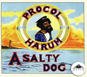 stereo Dog UK盤 Procol Salty A Harum 英LP