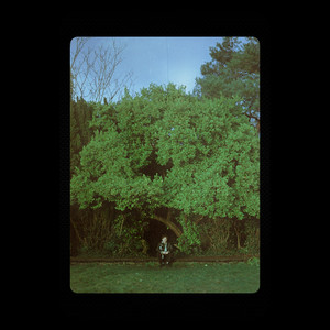I Was in a Mood by Oscar Browne