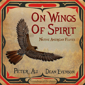 Earth Medicine by Peter Ali, Dean Evenson