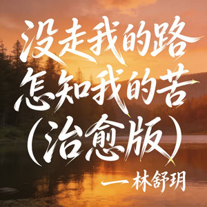 没走我的路怎知我的苦 - 治愈版 by 林舒玥