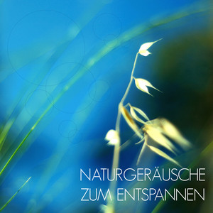 Naturgeräusche zum Entspannen - Musik zur Entspannung und Meditation mit Klänge