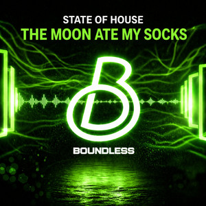The Moon Ate My Socks by State Of House
