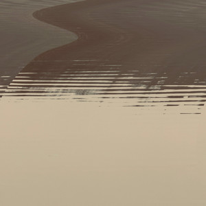 float still by dreamlogic