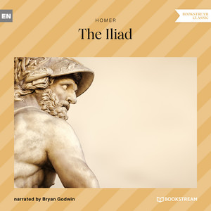The Iliad Audiobook