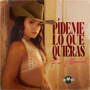 Pídeme Lo Que Quieras by Fer Villarreal