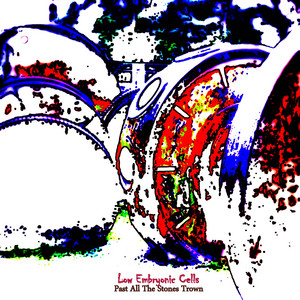 Past All The Stones Thrown by Low Embryonic Cells