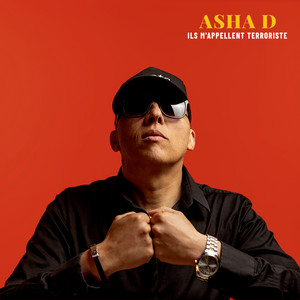 Ils m'appellent terroriste by Asha D, Artikal Band