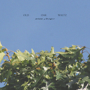 Old Oak Waltz by Arin Voss
