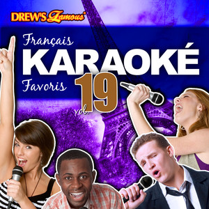 Français Karaoké Favoris, Vol. 19 album