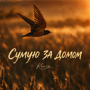 Сумую За Домом