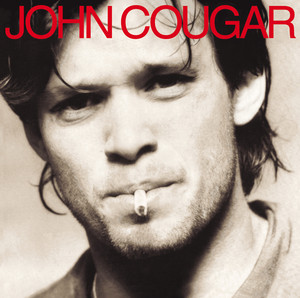 洋楽 Johnny Biography Cougar A