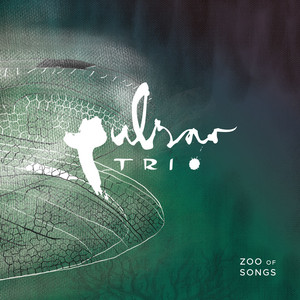 Slow Down Trude by Pulsar Trio