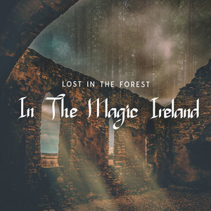 Lost IN The Forest In The Magic Ireland