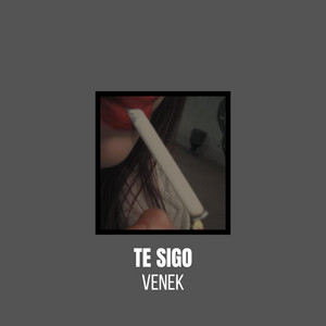 Te Sigo by Venek
