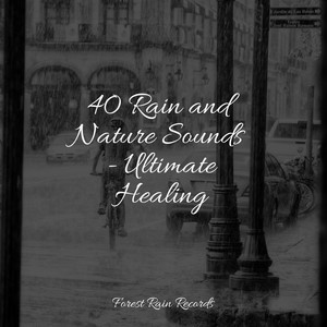 40 Rain and Nature Sounds - Ultimate Healing album