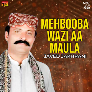 Javed Jakhrani - Sohna Sar Tahi