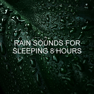 Rain Sounds for Sleeping 8 Hours album