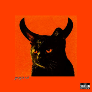 Yungin Out by Flow X, Problematic