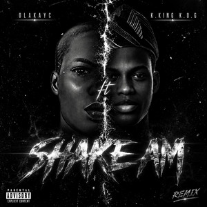 Shake Am - Remix by Ola Kayc, K.king k.o.g