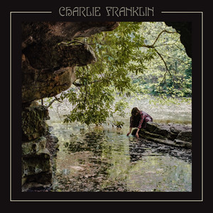 Take The Blame by Charlie Franklin