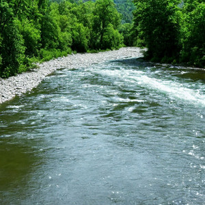 In This River by Gweenz