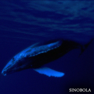 Sinobola — Sinobola (2025 Remastered Version)