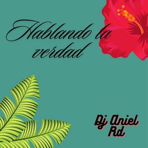 Hablando la verdad by Dj Aniel Rd