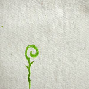 Ode to Bamboo by Tagore Chayne