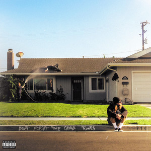 album cover: DON'T FORGET THE GOOD TIMES