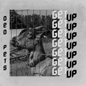 Get Up by Ded Pets