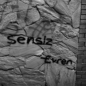 sensiz by Evren