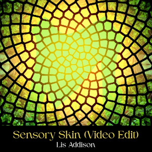 Sensory Skin (Video Edit) by Lis Addison
