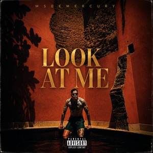 Look at Me by Mseemercury