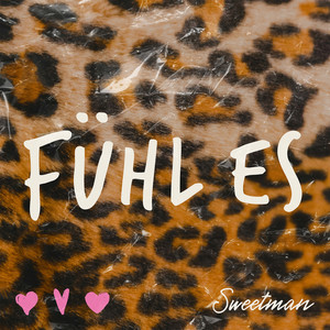 Fühl Es by Sweetman