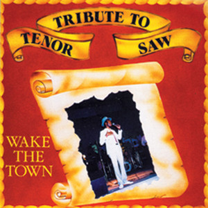 Tribute to Tenor Saw - Wake the Town cover