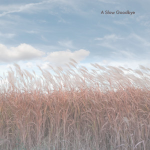 A Slow Goodbye by Evan Scudo